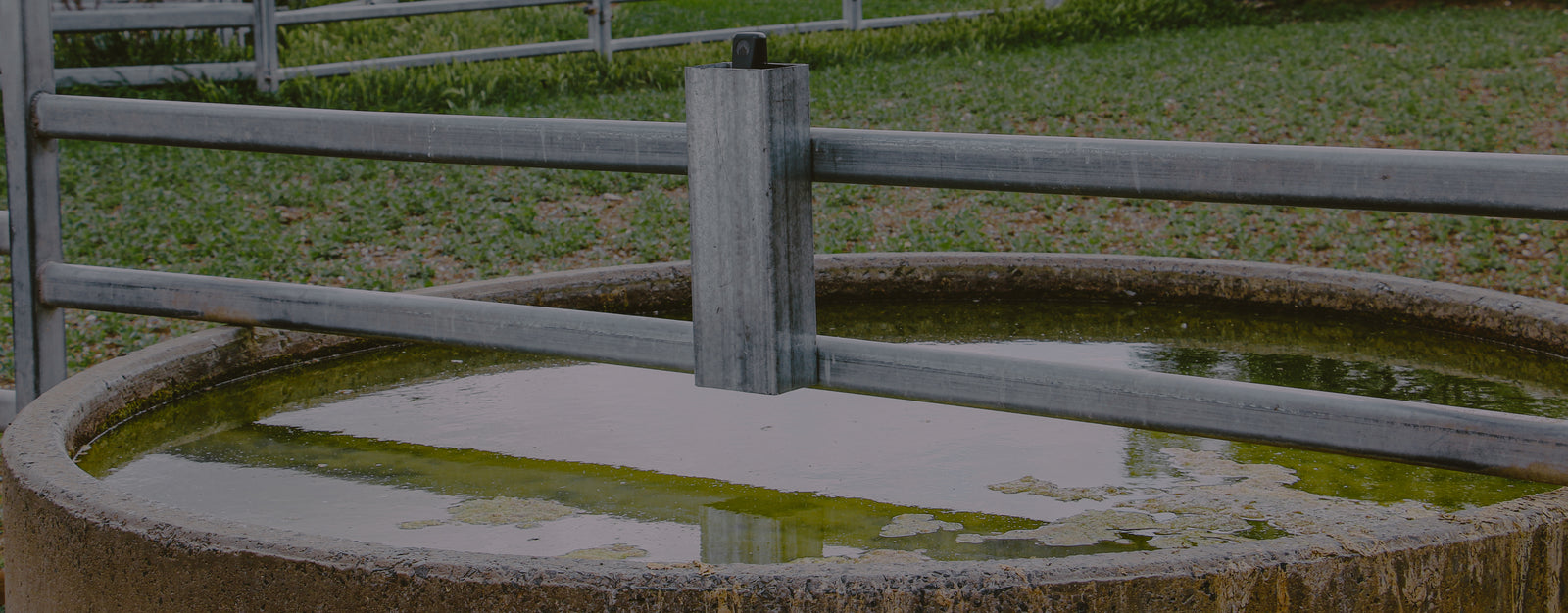 Sensor on top of a tank in Carwoola