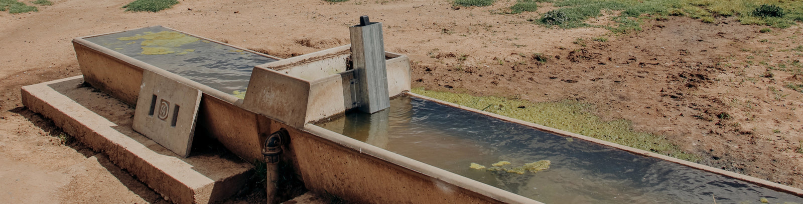 A sensor on a different styled water trough