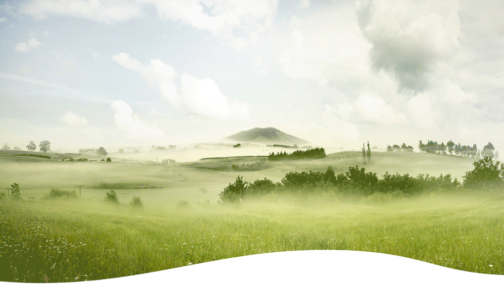 Header animation with tanks