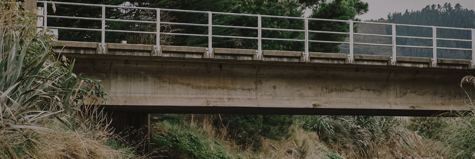 Bridge in Waitati